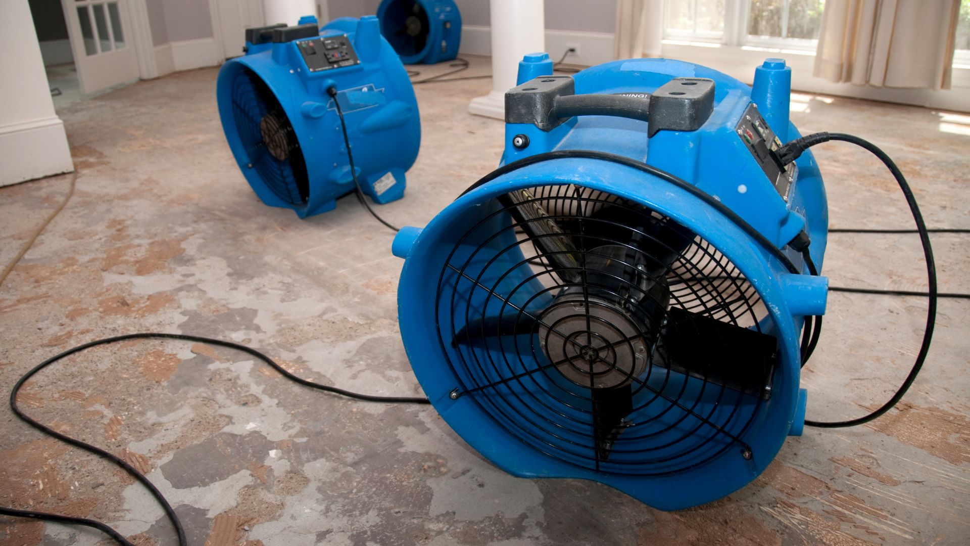 A couple of blue blowers sitting on top of a floor